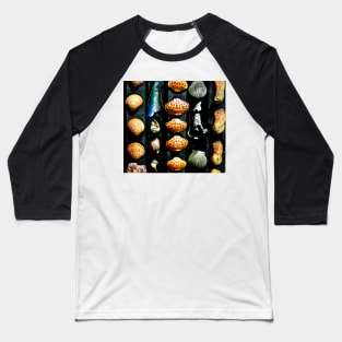 Gulf Coast Shells Baseball T-Shirt